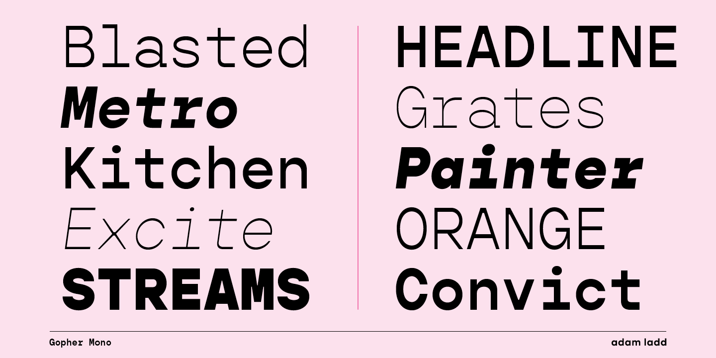 Пример шрифта Gopher Mono Thin Italic